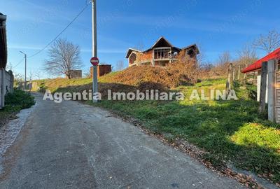 Casă cu 5 camere în Sântuhalm - 14