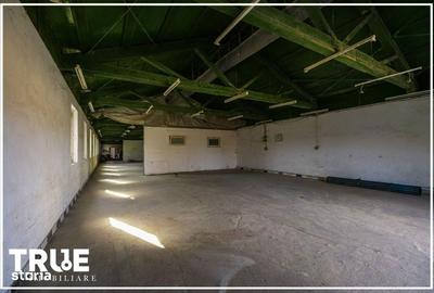 Spațiu comercial, de 474 mp, în Ceuaș - 19