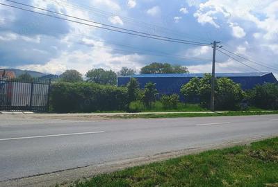 Teren de 4400 mp, în Cărpiniș - 6