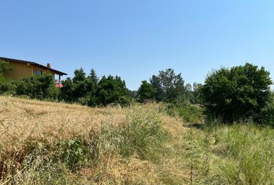 Ciolpani -Ilfov - teren 4000 mp - 7