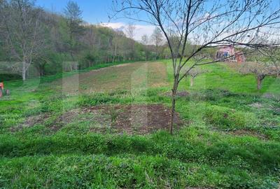 Teren 6650 mp, cu casa nefinalizata de 111 mp, in Nisipoasa. - 1