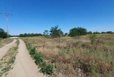 Spațiu comercial, în Malu Mare - 5