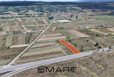 Teren 5900 mp extravilan zona Selimbar - 2