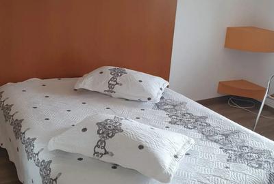 Garsoniera de inchiriat in Paltinis Garsoniera de inchiriat in Paltinis - 7