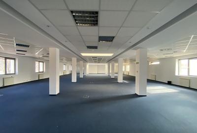 Viilor 14 - comision 0%, reprezentam proprietarul! - 12