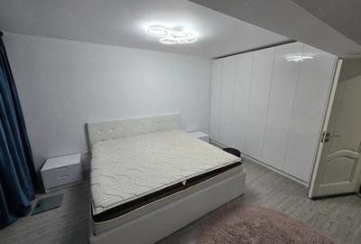 Apartament cu 2 camere decomandat, mobilat în Piața Nouă - 4