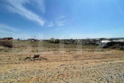 Parcele teren intravilan, 530 mp, Malu Mare - 3