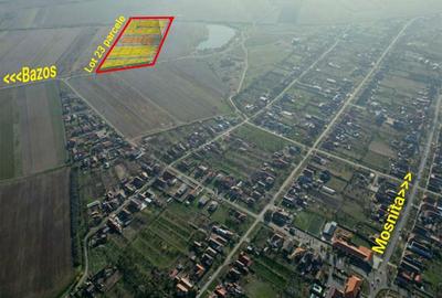 Teren Construcții intravilan de 12097 mp, în Bucovăț (Remetea Mare) - 2