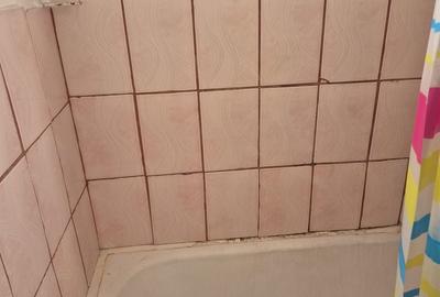 Garsonieră în Malul Mureșului - 14