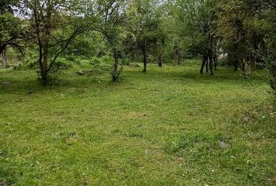 Teren de 1860 mp, în Valea Unghiului - 4