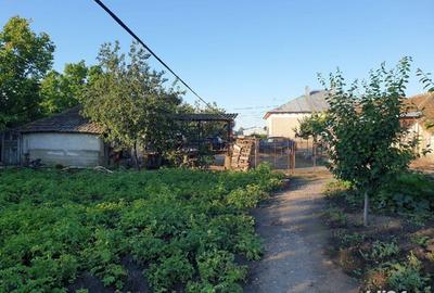 Spațiu comercial, în Fântânele - 4