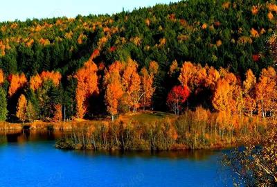 Teren de 40000 mp, în Chiliile - 4