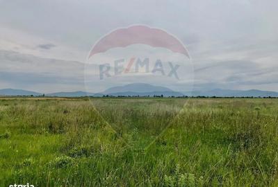 Spațiu comercial, în Hărman - 8