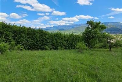 Teren  de vanzare la liziera padurii in Talmaciu - 12