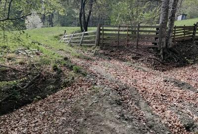 Teren agricol extravilan de 22000 mp, în Valea Doftanei - 3