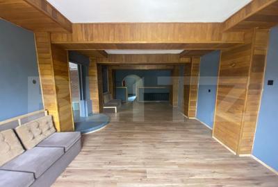 Cladire comerciala, 377 mp, zona Bulevardul Gheorghe Chitu - 8