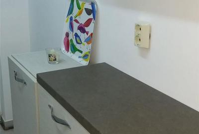 Casă cu 2 camere cu Teren 40 Mp în Pantelimon - 10
