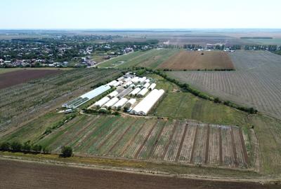 Teren agricol extravilan de 72200 mp, în Petrăchioaia - 2