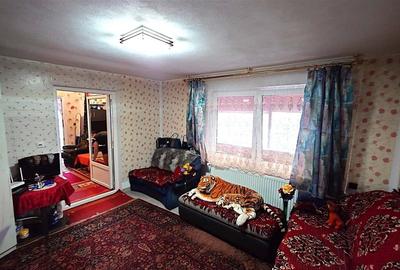 Casa renovata cu acces usor, langa padure - 9