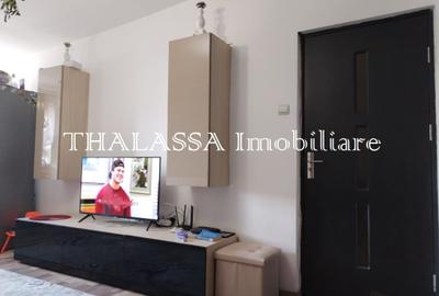 Apartament cu 3 camere decomandat, mobilat în Brazda lui Novac