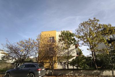 Inchiriere Apartament 2 camere spatios pe malul marii - 37