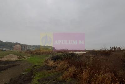Teren agricol extravilan de 5000 mp, în Corbeanca - 13