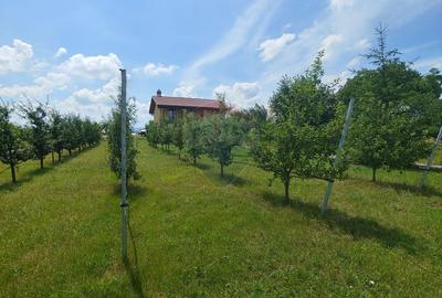 Casă individuală cu 5 camere cu Garaj în Vadu Moldovei - 60