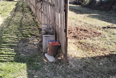 Casă cu 3 camere în Băbana - 2