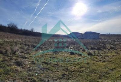 Oportunitate de investitie! Teren intravilan de vanzare in zona lacului Chinteni - 2