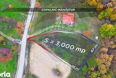 Teren de 3000 mp, în Copalnic - 3