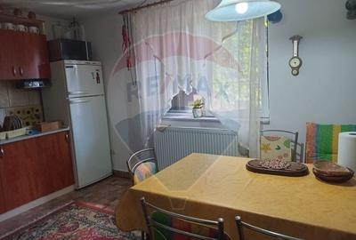 OCAZIE!!! CASA SUPERBA cu teren in JULITA jud Arad in M tii Zarandului - 27