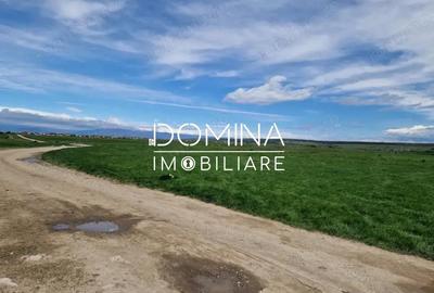 Teren de 25254 mp, în Preajba