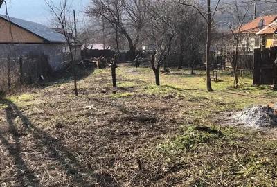 Teren în Balotești - 7