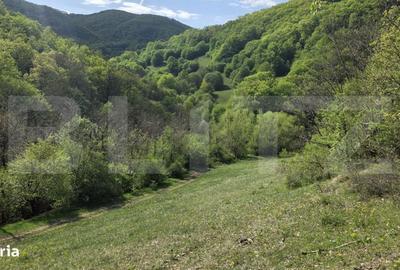 Spațiu comercial, în Pădure - 7