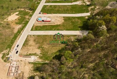 Teren intravilan - Calea Lui Traian - Zona Cetatuia - 4