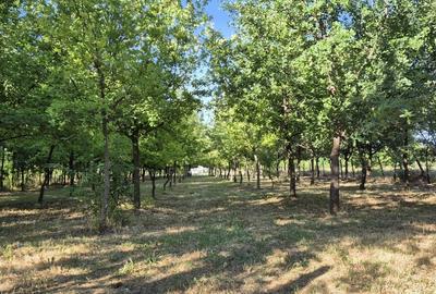 Teren Construcții intravilan de 2176 mp, în Dorobanți - 1