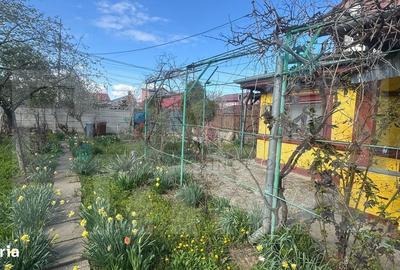 Casă cu 3 camere cu Teren 861 Mp în Central - 4