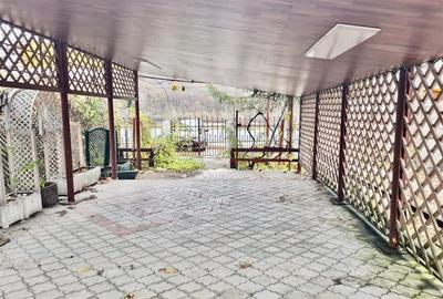 Casă cu 4 camere cu Teren 4500 Mp în Schitu Duca - 4