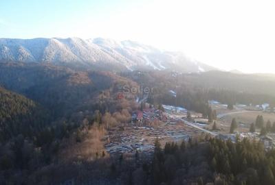 Teren 28.000mp Poiana MIca intre Monterai si Grand Chalet - 4