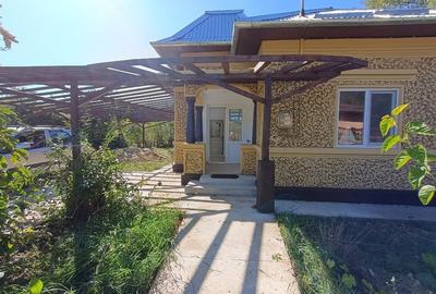 Renovata complet  2024 - 2500mp teren Renovata complet  2024 - 2500mp teren - 3