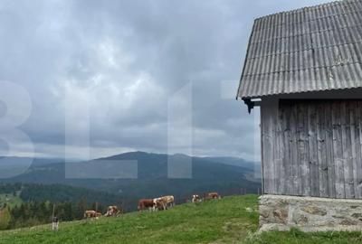 Casă cu 3 camere cu Teren 600 Mp în Central - 11