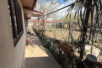 Casă individuală cu 3 camere cu Teren 915 Mp în Modelu - 14