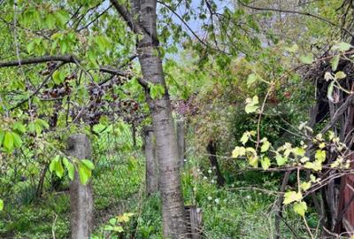 Casă cu 2 camere cu Teren 714 Mp în Siret - 1