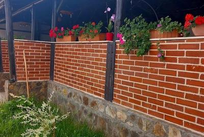 RECO Terasa Pentru  Petreceri  in Cheriu - 5