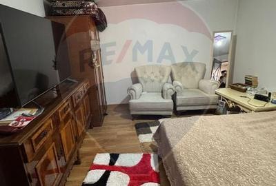 Casa / Vila cu 6 camere de vanzare in zona Sud Casa / Vila cu 6 camere de vanzare in zona Sud - 6