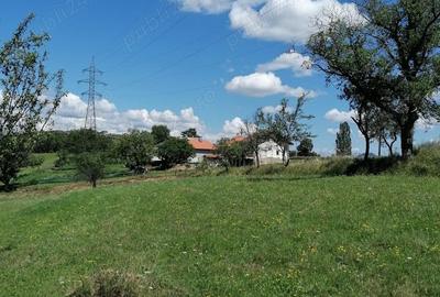 Teren de 8000 mp, în Dealu Mare - 2