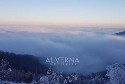 OPORTUNITATE | Teren intravilan | 34.625 mp | Plopi - Valea Ierii - 10