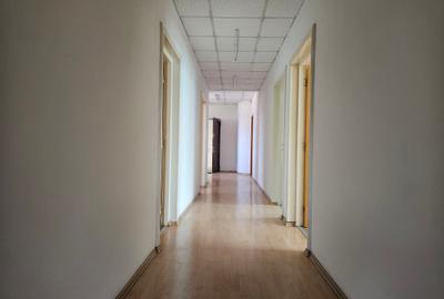 De închiriat Casă / Spațiu Comercial / Hală Producție - Bucureștii Noi - 9