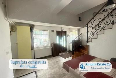 Proprietate cu crama, Ultracentral, casa de vanzare, Oradea, Bihor - 16