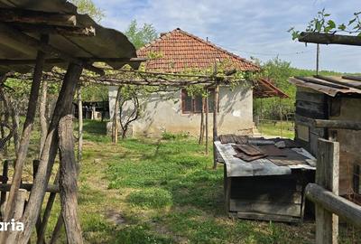 Casă cu 3 camere cu Teren 828 Mp în Șoimuș - 6